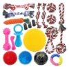 Pack Dog Toy Bundle for Teeth Grinding, Chewing, and Interactive Play