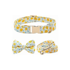 Pack Floral Dog Collars and Leashes for Small to Large Dogs, Adjustable and Durable