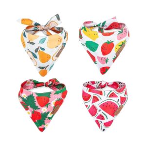 Pack of 4 Hand Washable Dog Bandanas with Fruit Design