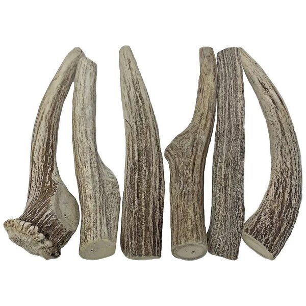 Pack of 6 Medium Hard Axis Deer Antlers for Aggressive Chewers