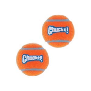 Pack of 6 Small Dog Fetch Toy Balls Compatible with Chuckit