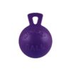 Pack of Extra Large Ball Toys for Dogs with Handles