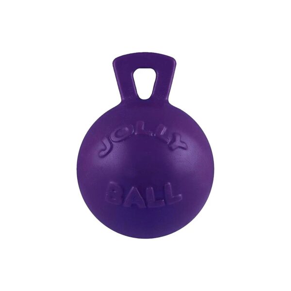 Pack of Extra Large Ball Toys for Dogs with Handles