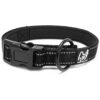 Padded Adjustable Reflective Nylon Dog Collar with Pull Stop for Small Pups 11-13 inches