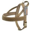 Padded Dog Harness with Adjustable Straps for Comfortable No Pull Walking and Running