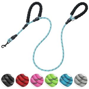 Padded Dog Leash with Double Handles and Reflective Threads for Comfortable Walking