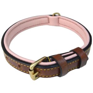 Padded Leather Dog Collar for Small Dogs with 5/8 Inch Width and 16 Inch Length