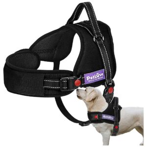 Padded No Pull Dog Harness for Small Medium Large Dogs Black