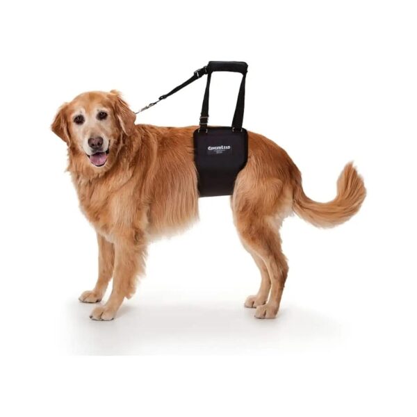 Padded Rear Lift Dog Sling Support Harness for Large Female Dogs with Hip or Back Surgery