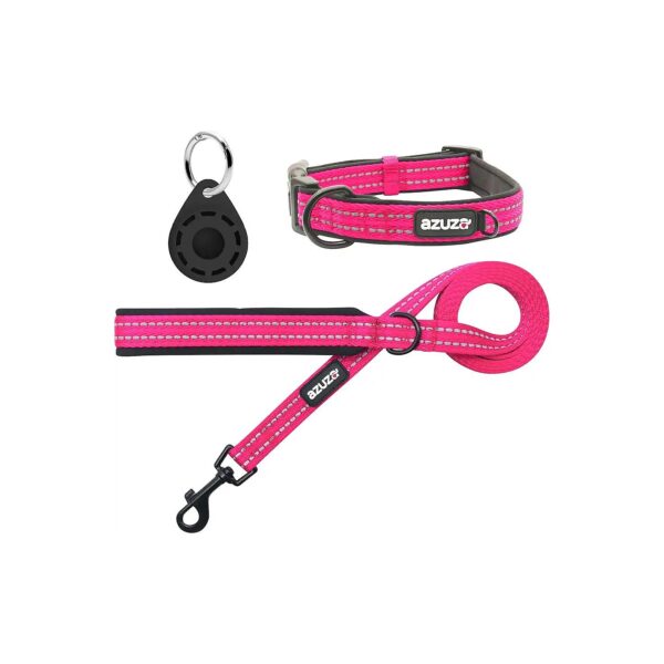 Padded Small Dog Collar and Leash Set for Comfort and Safety