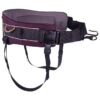 Padded Soft Undercoat Soft and Strong Dog Leash Belt for Happy Pets