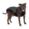 Padded Waterproof Dog Jacket with Leash Attachment for Small Medium Large Breeds