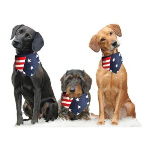 Padded and Adjustable US and UK Flag Bandana for Dogs in Medium Size