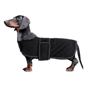 Padded and Reflective Dog Coat for Dogs with Long Backs, Sausage, Weiner, and Corgi