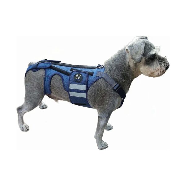 Pain Relief Dog Back Protector for VIDD and Arthritis Dogs