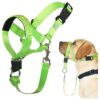 Painless No-Pull Dog Halter with Expert Training Guide for Easy Walking