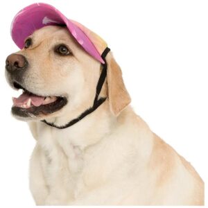 Palm Tree Pink Dog Visor Medium for Eye Protection and UV Protection for Dogs