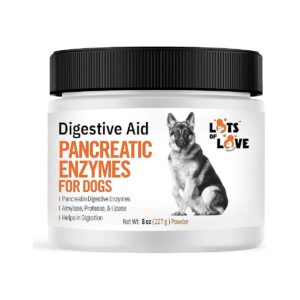 Pancreatic Enzyme Supplement for Dogs and Cats Digestive Support