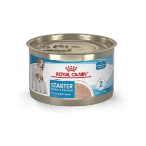 Pate-Style Wet Dog Food for Small Breed Dogs and Their Litters