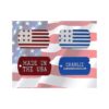 Patriotic American Flag ID Tag for Dogs and Cats with Up to 22 Characters per Line