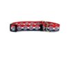 Patriotic Paws Martingale Collar for Dogs with Wide Neck or Narrow Heads