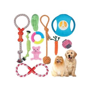 Paw-some Gift Set for Small Medium Dogs Featuring 10 Durable Toys