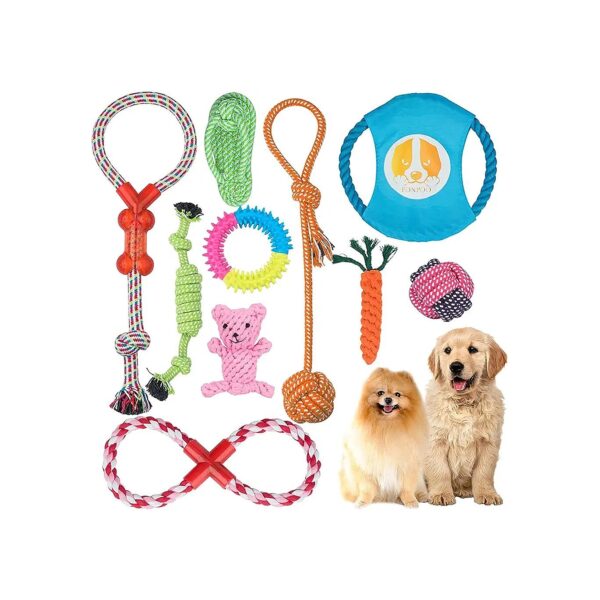 Paw-some Gift Set for Small Medium Dogs Featuring 10 Durable Toys