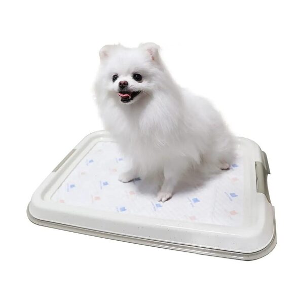 Pawsome Puppy Pad Holder for Small Dogs with Anti-Slip Base and Lockable Latches