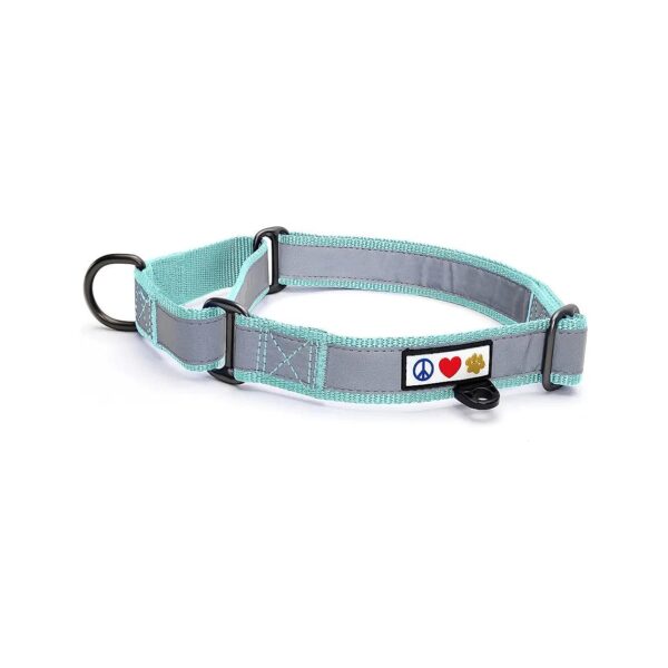 Pawtitas Martingale Dog Collar for Small Dog Breeds and Training