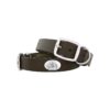 Percent Genuine Leather Dog Collar with Concho Logos, 1 3/8-Inch Wide