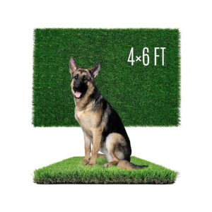 Perfect Artificial Grass for Dogs with Easy to Replaceable Pads