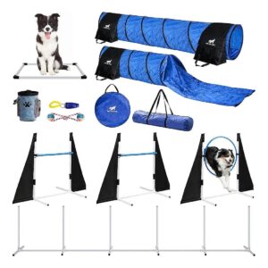 Perfect Dog Agility Course for Small and Large Dogs to Train and Play