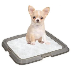 Perfect Dog Training Pads Holder for Small Breeds and Cats