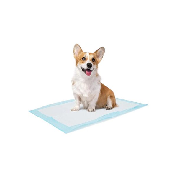 Perfect Pads for Pet Crate Training and Nursing