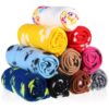 Perfect Pet Blankets for Small Pets, 10 Pieces Set with Vibrant Colors and Paw Print