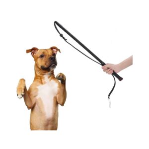 Perfect for Clicker Training Medium Large Dogs