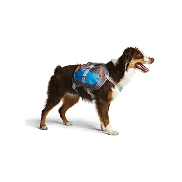 Perfectly Sized Dog Backpack for Small to Medium Breeds and Their Owners