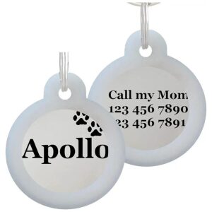 Permanent Laser Etched Stainless Steel Pet ID Tag for Dog and Cat Identification