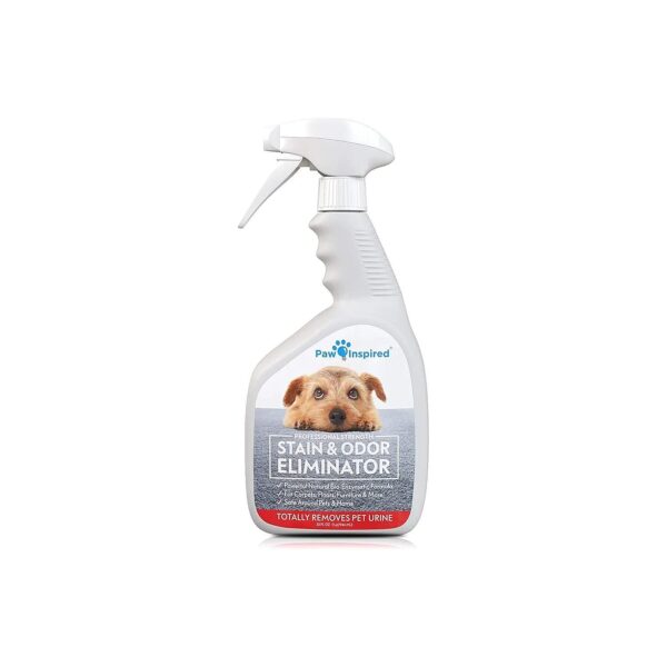 Permanently Remove Dog and Cat Urine Smells and Stains with Enzymatic Cleaner