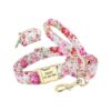 Personalized Dog Collar Set with Cute Bag and Leash for Travel Walking and Camping