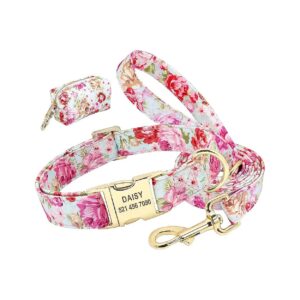 Personalized Dog Collar Set with Cute Bag and Leash for Travel Walking and Camping