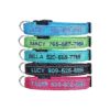 Personalized Dog Collars with Embroidered Name, Phone Number, and Reflective Stitching