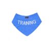 Personalized Embroidered Dog Bandana Neck Scarf for Training Prevents Accidents