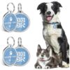 Personalized Engraved Dog IDs with Online Profile for Efficient Reunification