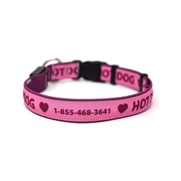 Personalized LED Dog Collar with Rechargeable Battery, Small Size, and Light Pink