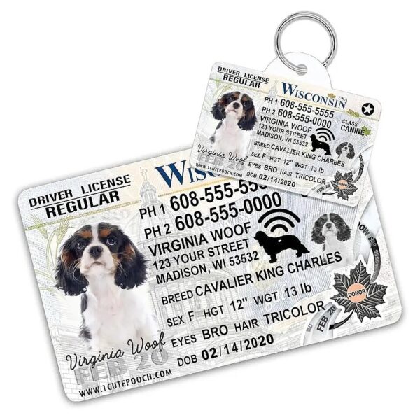 Personalized Pet ID Tags for Dogs and Cats with Unique Driver License Design