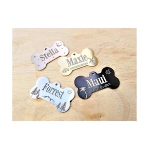 Personalized Silver Stainless Steel Dog Cat Pet ID Tag with Fully Customizable Design