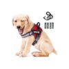 Peswety No Pull Dog Harness with Reflective 3M Tape and 5ft Leash for Training Pet Puppy