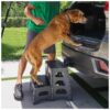 Pet Accessory for Small Pets 2-Step Folding Stool for Cars and Trucks