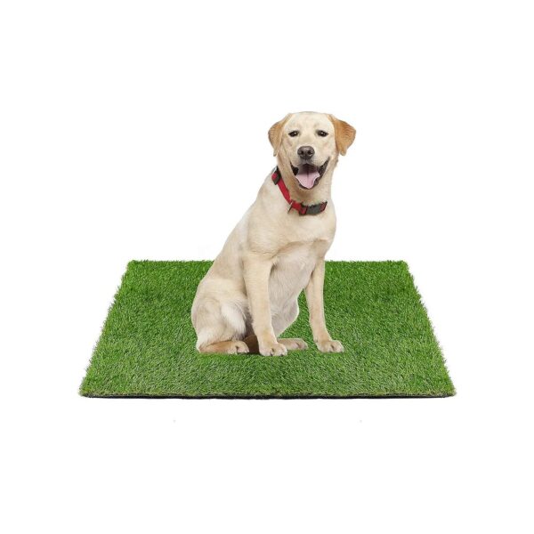 Pet Artificial Grass Mat 36x23 Large Dog Pee Pad for Indoor Outdoor Potty Training